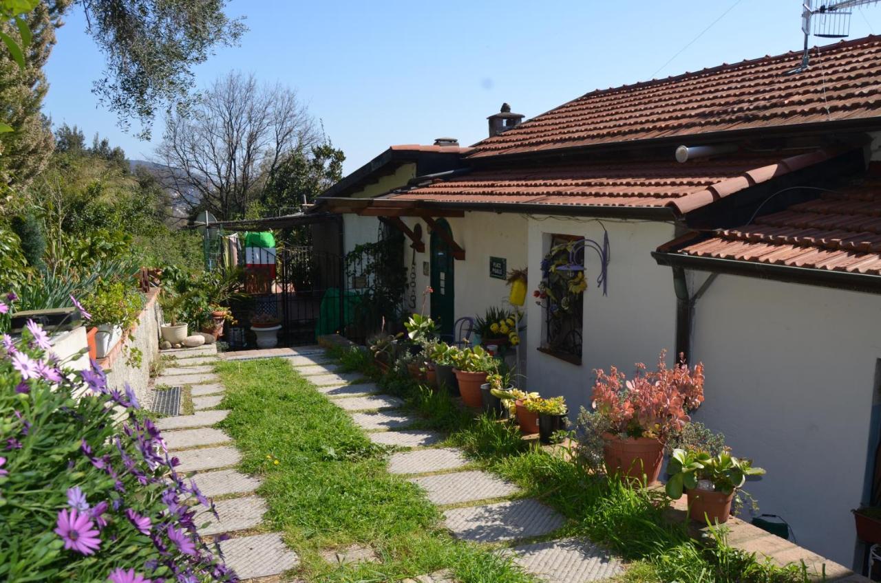 Bed and Breakfast La Pineta Pitelli Экстерьер фото
